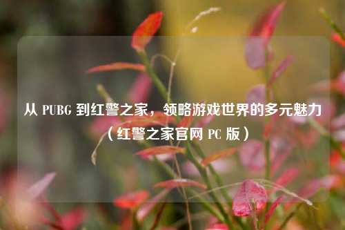 从 PUBG 到红警之家,领略游戏世界的多元魅力(红警之家官网 PC 版)