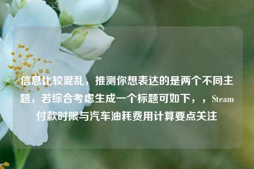 信息比较混乱，推测你想表达的是两个不同主题，若综合考虑生成一个标题可如下，，Steam付款时限与汽车油耗费用计算要点关注