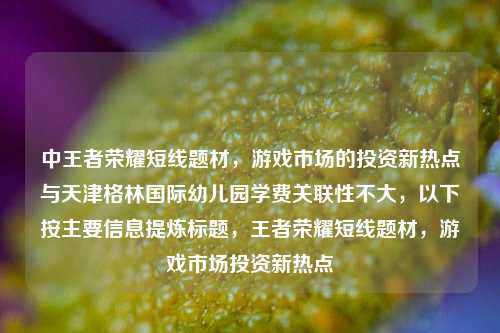 中王者荣耀短线题材,游戏市场的投资新热点与天津格林国际幼儿园学费关联性不大,以下按主要信息提炼标题,王者荣耀短线题材,游戏市场投资新热点