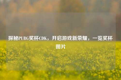 探秘PUBG奖杯CDK，开启游戏新荣耀，一览奖杯图片