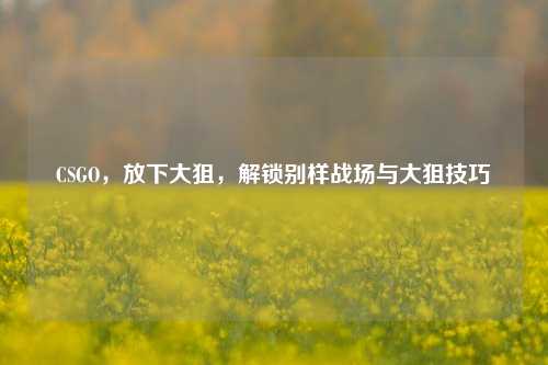 CSGO,放下大狙,解锁别样战场与大狙技巧