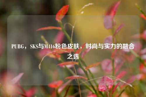 PUBG，SKS与M416粉色皮肤，时尚与实力的融合之选