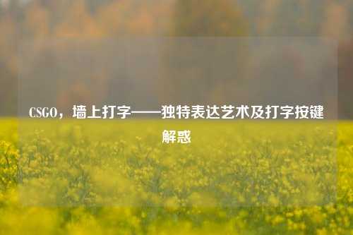 CSGO,墙上打字——独特表达艺术及打字按键解惑