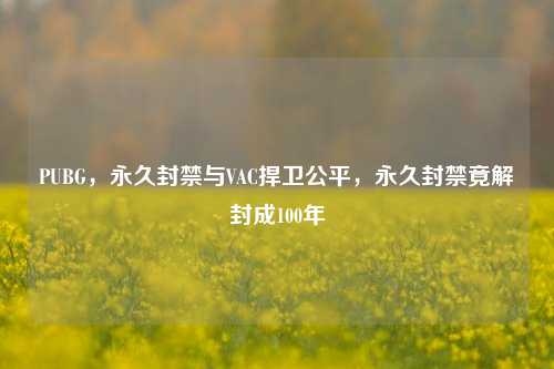 PUBG,永久封禁与VAC捍卫公平,永久封禁竟解封成100年