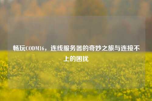 畅玩CODM16,连线服务器的奇妙之旅与连接不上的困扰