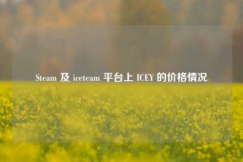 Steam 及 iceteam 平台上 ICEY 的价格情况