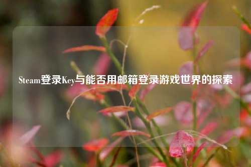 Steam登录Key与能否用邮箱登录游戏世界的探索