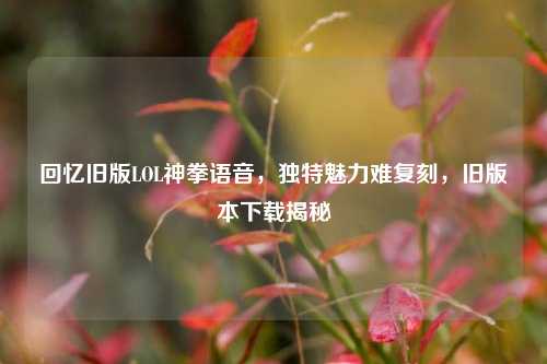 回忆旧版LOL神拳语音,独特魅力难复刻,旧版本下载揭秘