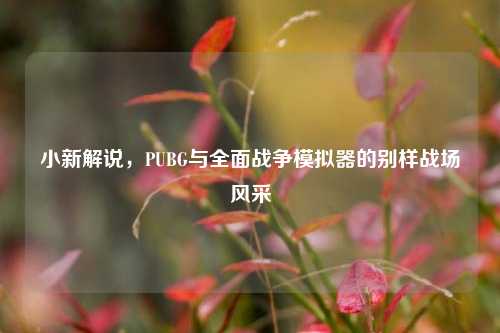 小新解说,PUBG与全面战争模拟器的别样战场风采