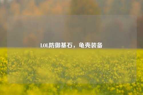 LOL防御基石,龟壳装备