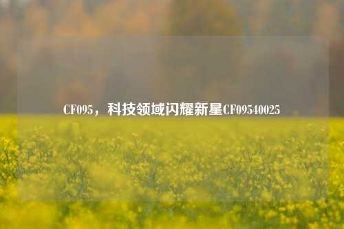 CF095，科技领域闪耀新星CF09540025