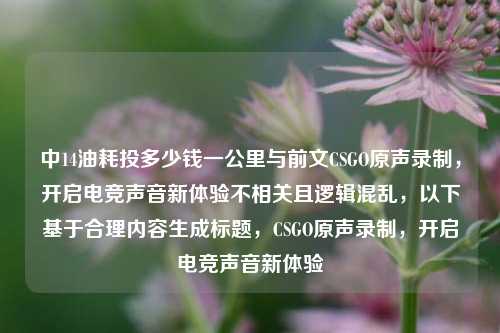 中14油耗投多少钱一公里与前文CSGO原声录制,开启电竞声音新体验不相关且逻辑混乱,以下基于合理内容生成标题,CSGO原声录制,开启电竞声音新体验