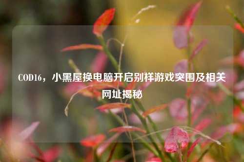 COD16,小黑屋换电脑开启别样游戏突围及相关网址揭秘