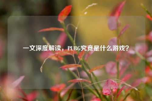 一文深度解读,PUBG究竟是什么游戏?