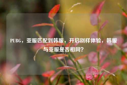 PUBG,亚服匹配到韩服,开启别样体验,韩服与亚服是否相同?