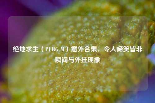 绝地求生(PUBG M)意外合集,令人啼笑皆非瞬间与外挂现象