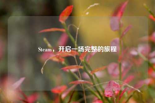 Steam,开启一场完整的旅程