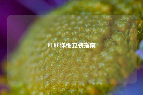 PUBG详细安装指南