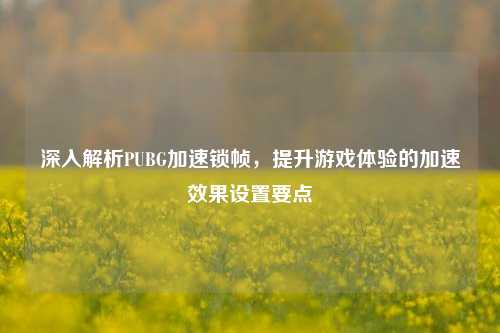 深入解析PUBG加速锁帧,提升游戏体验的加速效果设置要点