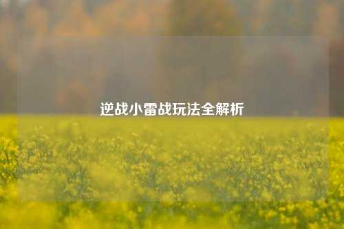 逆战小雷战玩法全解析