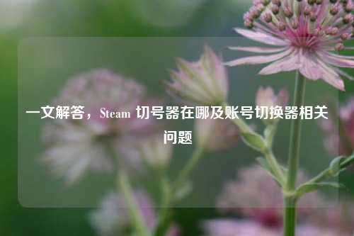 一文解答,Steam 切号器在哪及账号切换器相关问题