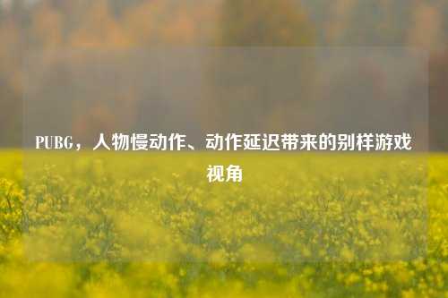 PUBG,人物慢动作、动作延迟带来的别样游戏视角