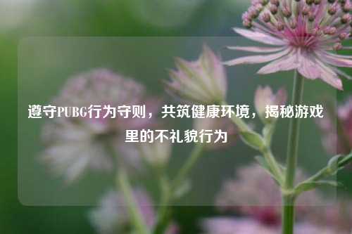 遵守PUBG行为守则,共筑健康环境,揭秘游戏里的不礼貌行为