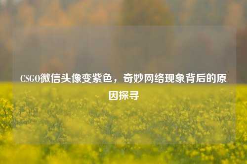 CSGO微信头像变紫色,奇妙网络现象背后的原因探寻