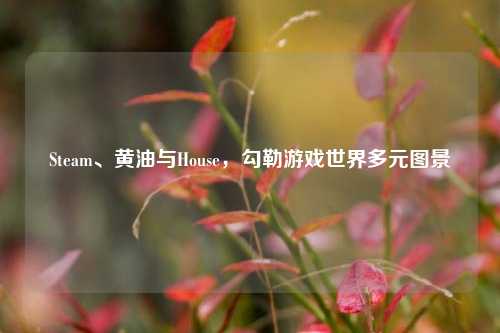 Steam、黄油与House，勾勒游戏世界多元图景