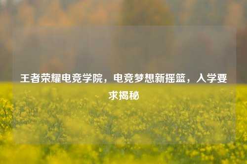 王者荣耀电竞学院,电竞梦想新摇篮,入学要求揭秘