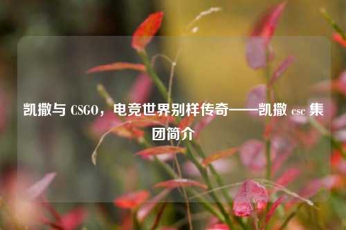 凯撒与 CSGO，电竞世界别样传奇——凯撒 csc 集团简介