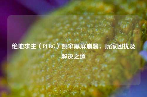 绝地求生(PUBG)跳伞黑屏崩溃,玩家困扰及解决之道