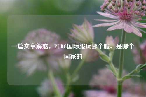 一篇文章解惑,PUBG国际服玩哪个服、是哪个国家的