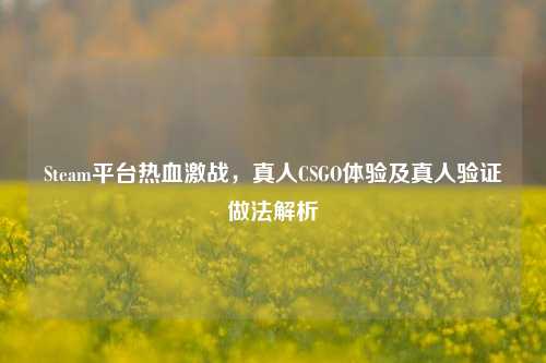 Steam平台热血激战,真人CSGO体验及真人验证做法解析