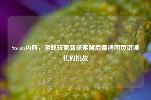 Steam内网,游戏玩家新探索背后遭遇网页错误代码挑战