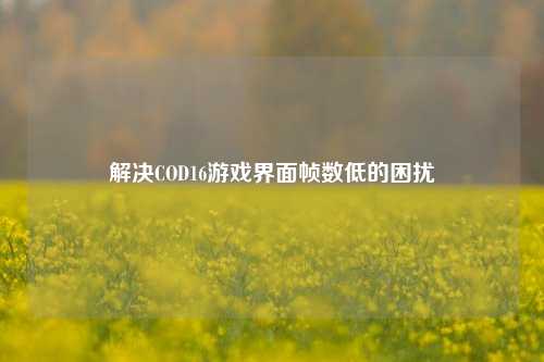 解决COD16游戏界面帧数低的困扰