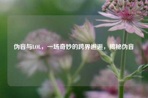 伪音与LOL，一场奇妙的跨界邂逅，揭秘伪音