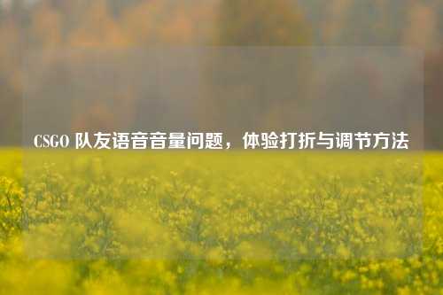 CSGO 队友语音音量问题,体验打折与调节方法