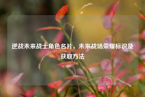 逆战未来战士角色名片，未来战场荣耀标识及获取方法