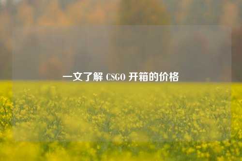 一文了解 CSGO 开箱的价格