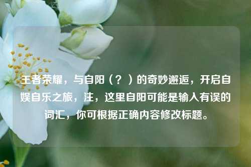 王者荣耀，与自阳（？）的奇妙邂逅，开启自娱自乐之旅，注，这里自阳可能是输入有误的词汇，你可根据正确内容修改标题。