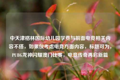 中天津格林国际幼儿园学费与前面电竞相关内容不搭,如果仅考虑电竞方面内容,标题可为,PUBG龙神闪耀澳门比赛,电竞传奇再启新篇