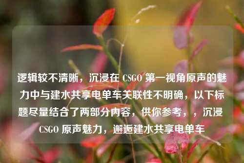 逻辑较不清晰，沉浸在 CSGO 第一视角原声的魅力中与建水共享电单车关联性不明确，以下标题尽量结合了两部分内容，供你参考，，沉浸 CSGO 原声魅力，邂逅建水共享电单车