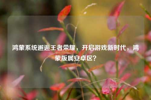 鸿蒙系统邂逅王者荣耀，开启游戏新时代，鸿蒙版属安卓区？