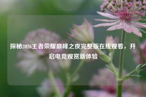 探秘2026王者荣耀巅峰之夜完整版在线观看，开启电竞观赏新体验