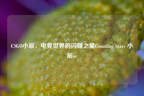 CSGO小辰，电竞世界的闪耀之星Counting Stars 小辰ov