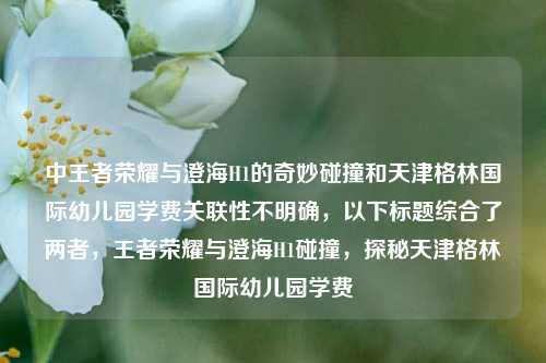中王者荣耀与澄海H1的奇妙碰撞和天津格林国际幼儿园学费关联性不明确，以下标题综合了两者，王者荣耀与澄海H1碰撞，探秘天津格林国际幼儿园学费