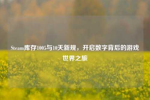 Steam库存1005与10天新规,开启数字背后的游戏世界之旅