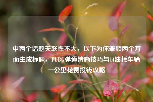 中两个话题关联性不大,以下为你兼顾两个方面生成标题,PUBG弹道清晰技巧与14油耗车辆一公里花费投钱攻略