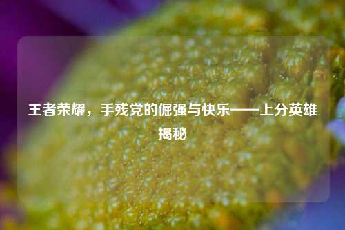 王者荣耀,手残党的倔强与快乐——上分英雄揭秘